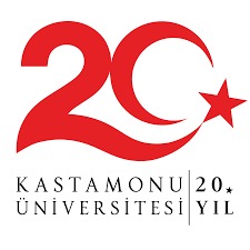TÜBİTAK 2209-A Projelerinde 7 Kabul