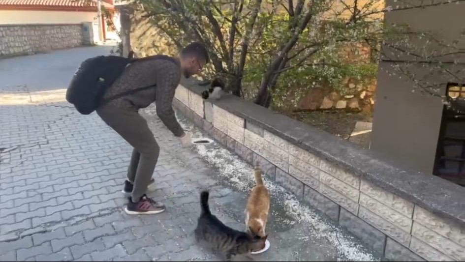“Bir Kap Mama Bir Umut” Projesi Başarıyla Tamamlandı